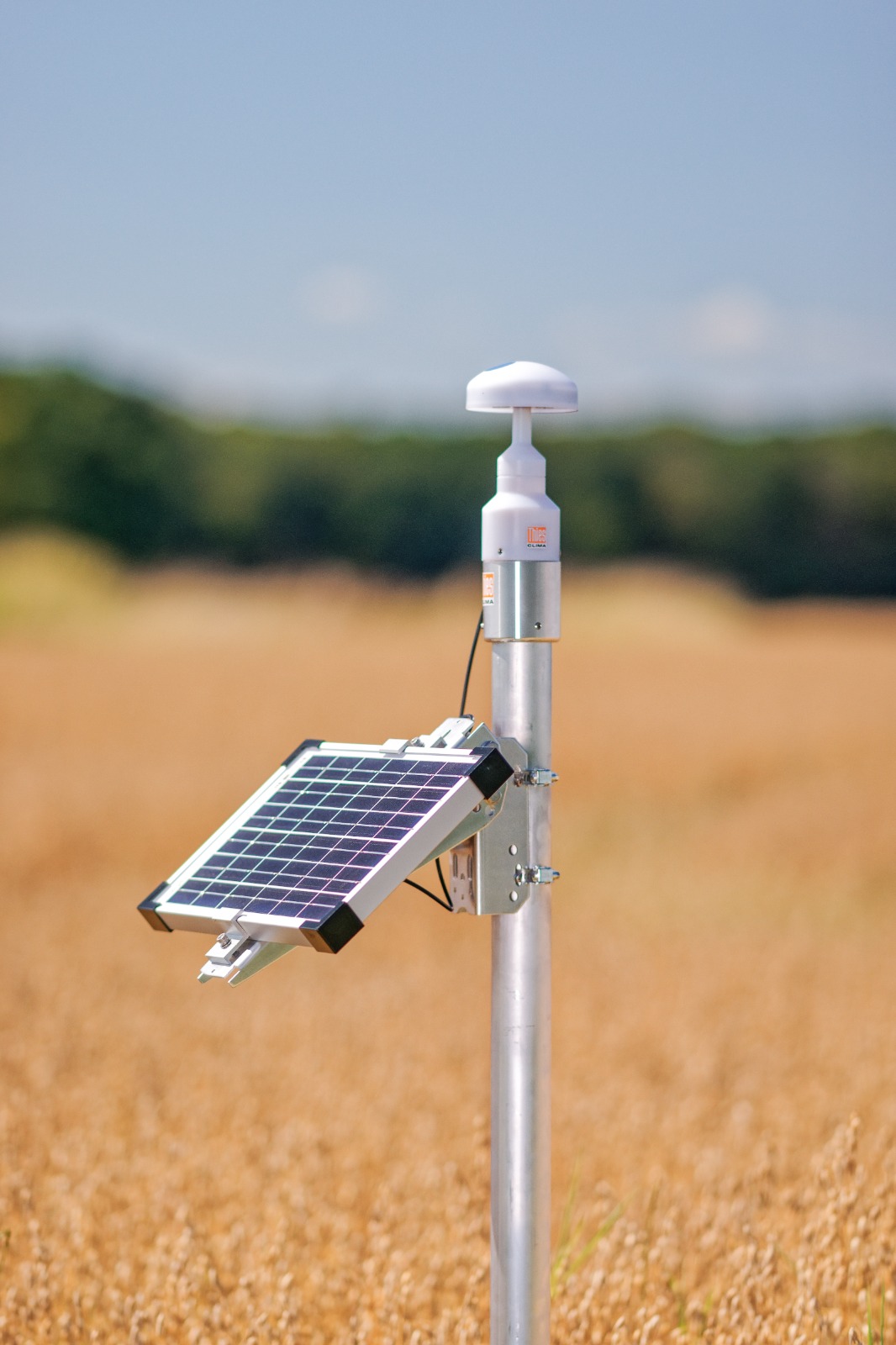 Estacion Meteorologica Thies Wsc Agrar En Cultivo De Trigo estudios hidrogeológicos hidrológicos y ambiental